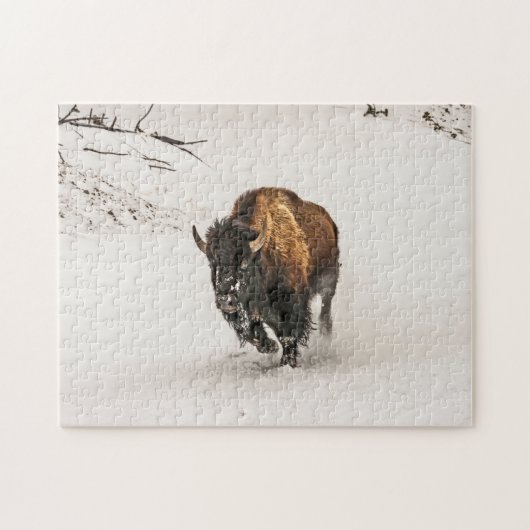 Bison Plodding Through Snow - 252 Stück Puzzle (Horizontal)