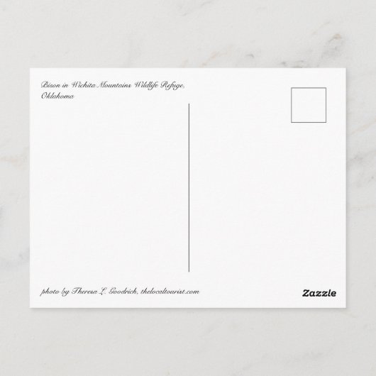 Bison Postcard Postkarte (Rückseite)