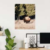 Bison Poster (Heimbüro)