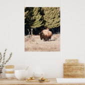 Bison Poster (Küche)