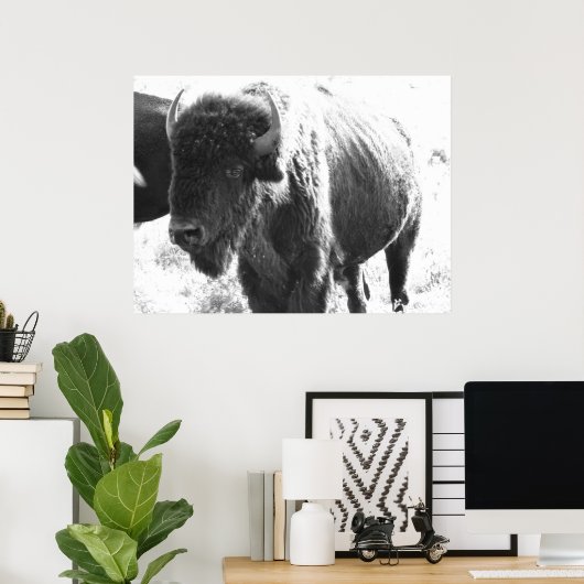 Bison Poster (Heimbüro)