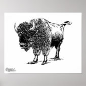 Bison Poster (Vorne)