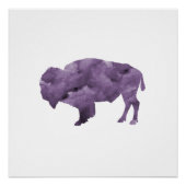 Bison Poster (Vorderseite)