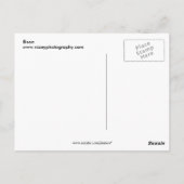 Bison Postkarte (Rückseite)