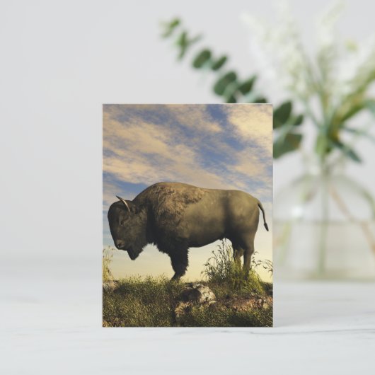 Bison Postkarte (Stehend Vorderseite)