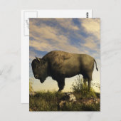 Bison Postkarte (Vorne/Hinten)