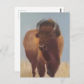 Bison Postkarte (Vorne/Hinten)