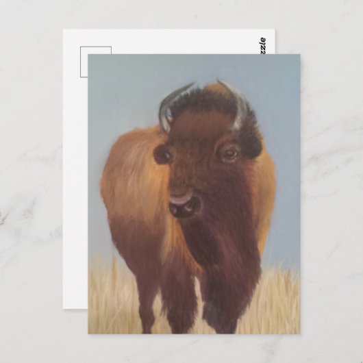 Bison Postkarte (Vorne/Hinten)
