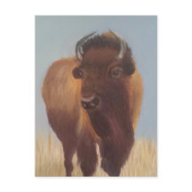 Bison