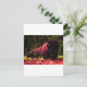 Bison Postkarte (Stehend Vorderseite)
