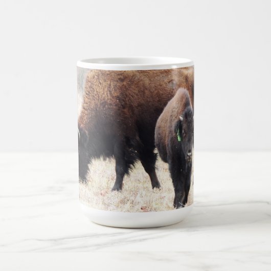 Bison Prairie Coffee Tasse (Mittel)