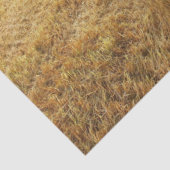 Bison Prairie Seidenpapier (Detail)