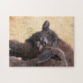 Bison Puzzle (Horizontal)