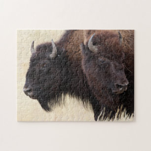 Bison Puzzle