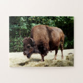 Bison Puzzle (Horizontal)