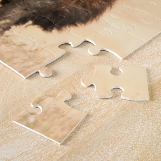 Bison Puzzle (Seite)