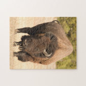 Bison Puzzle (Horizontal)