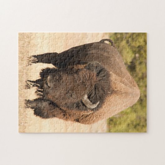 Bison Puzzle (Horizontal)