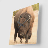 Bison Quadratische Wanduhr (Winkel)