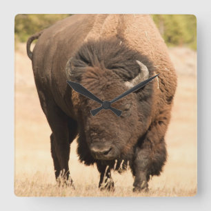 Bison Quadratische Wanduhr