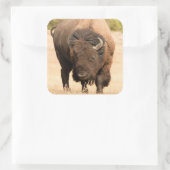 Bison Quadratischer Aufkleber (Tasche)