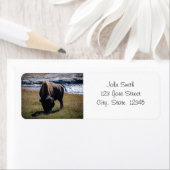 Bison-Rücksendeadresse (Insitu)