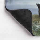Bison-Ruhen am Yellowstone-Fluss mit Schnee Mousepad (Ecke)