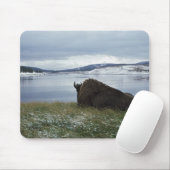 Bison-Ruhen am Yellowstone-Fluss mit Schnee Mousepad (Mit Mouse)