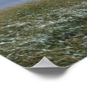 Bison-Ruhen am Yellowstone-Fluss mit Schnee Poster (Ecke)