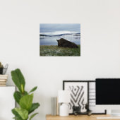 Bison-Ruhen am Yellowstone-Fluss mit Schnee Poster (Heimbüro)