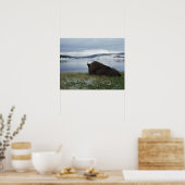 Bison-Ruhen am Yellowstone-Fluss mit Schnee Poster (Küche)