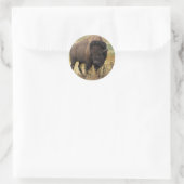 Bison Runder Aufkleber (Tasche)