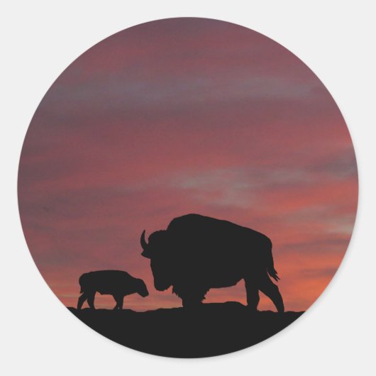 Bison Runder Aufkleber (Vorderseite)
