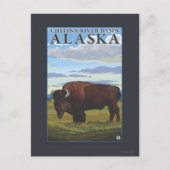 Bison Scene - Chitina River Basin, Alaska Postkarte (Vorderseite)