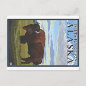 Bison Scene - Delta Junction, Alaska Postkarte (Vorderseite)