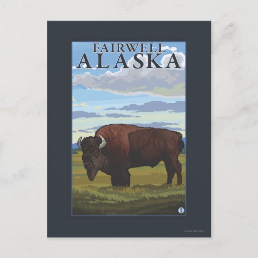 Bison Scene - Fairwell, Alaska Postkarte (Vorderseite)