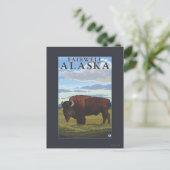 Bison Scene - Fairwell, Alaska Postkarte (Stehend Vorderseite)