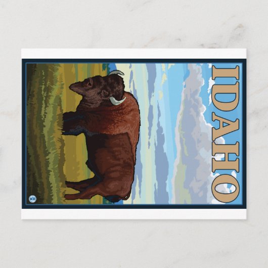 Bison Scene - Idaho Postkarte (Vorderseite)