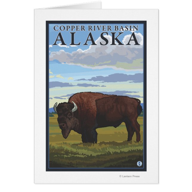 Bison Scene - Kupfer-Fluss-Becken, Alaska (Vorne)