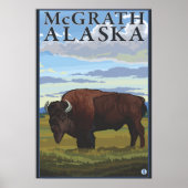 Bison Scene - McGrath, Alaska Poster (Vorne)