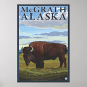 Bison Scene - McGrath, Alaska Poster (Vorne)