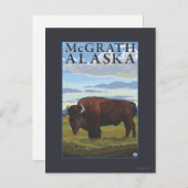 Bison Scene - McGrath, Alaska Postkarte (Vorne/Hinten)
