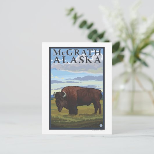 Bison Scene - McGrath, Alaska Postkarte (Stehend Vorderseite)