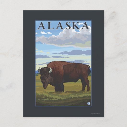 Bison Scene - Vintage Travel Poster Postkarte (Vorderseite)