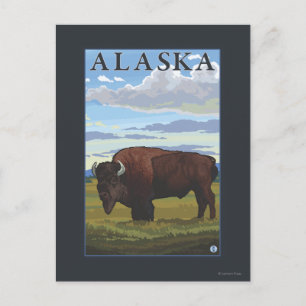 Bison Scene - Vintage Travel Poster Postkarte