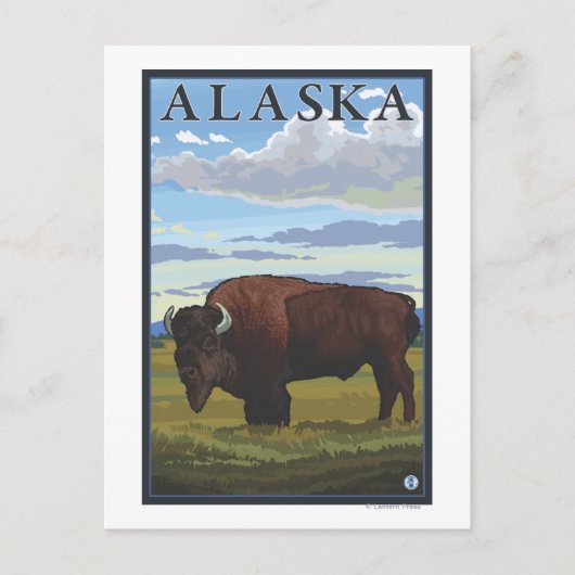 Bison Scene - Vintage Travel Poster Postkarte (Vorderseite)