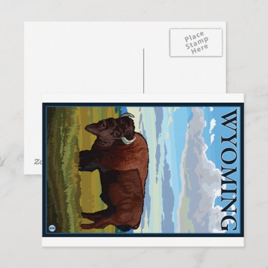 Bison Scene - Wyoming Postkarte (Vorne/Hinten)