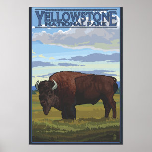 Bison Scene - Yellowstone Nationalpark Poster