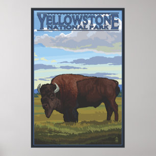 Bison Scene - Yellowstone Nationalpark Poster
