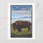 Bison Scene - Yellowstone Nationalpark Postkarte (Vorderseite)